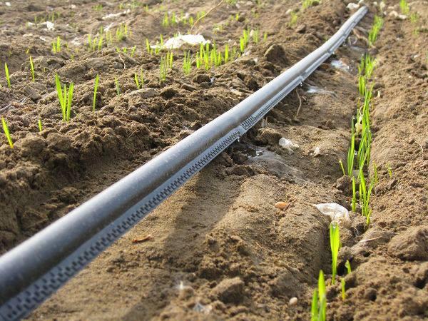 What is the best irrigation system?