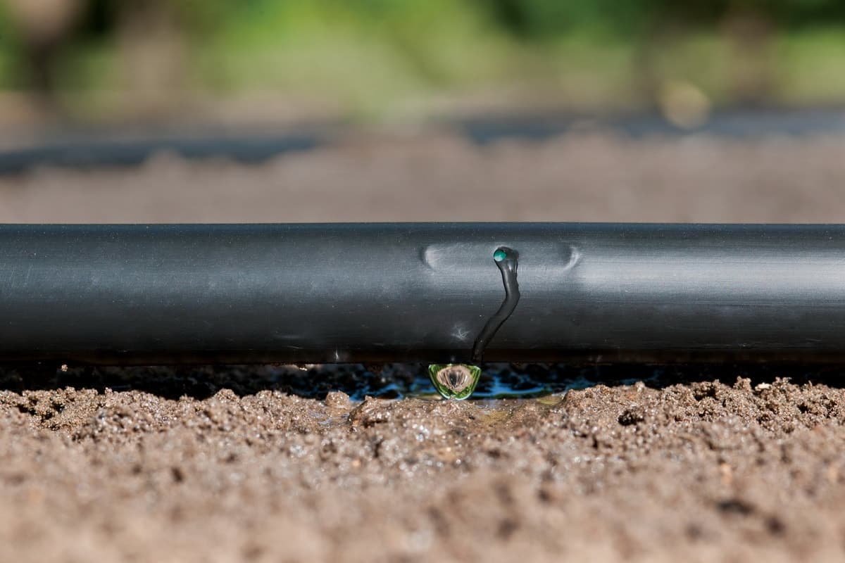  20Mm Drip Pipe; Flexible Durable 2 Colors Black Blue Farming Activities 