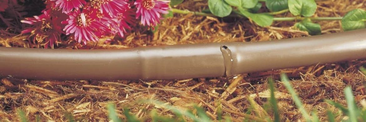 Brown Drip Pipe; Polyethylene 16 MM Size 25 Meter Long 33 MM Emitter Space